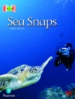 Bug Club Reading Corner: Age 5-7: Sea Snaps - Book