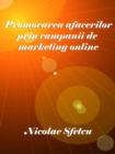 Promovarea afacerilor prin campanii de marketing online - eBook
