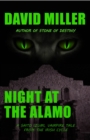 Night at the Alamo - eBook