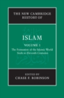 New Cambridge History of Islam: Volume 1, The Formation of the Islamic World, Sixth to Eleventh Centuries - eBook
