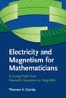 Electricity and Magnetism for Mathematicians : A Guided Path from Maxwell's Equations to Yang-Mills - eBook