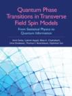 Quantum Phase Transitions in Transverse Field Spin Models : From Statistical Physics to Quantum Information - eBook