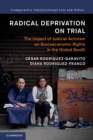 Radical Deprivation on Trial : The Impact of Judicial Activism on Socioeconomic Rights in the Global South - eBook