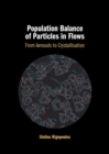 Population Balance of Particles in Flows : From Aerosols to Crystallisation - Book