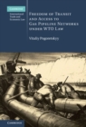 Freedom of Transit and Access to Gas Pipeline Networks under WTO Law - eBook