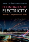 Economics of Electricity : Markets, Competition and Rules - eBook
