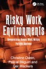 Risky Work Environments : Reappraising Human Work Within Fallible Systems - eBook