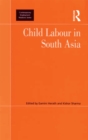 Child Labour in South Asia - eBook