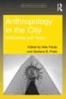 Anthropology in the City : Methodology and Theory - eBook