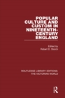 Popular Culture and Custom in Nineteenth-Century England - eBook