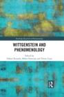 Wittgenstein and Phenomenology - eBook