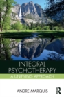Integral Psychotherapy : A Unifying Approach - eBook