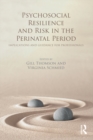 Psychosocial Resilience and Risk in the Perinatal Period : Implications and Guidance for Professionals - eBook