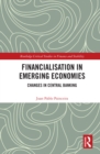 Financialisation in Emerging Economies : Changes in Central Banking - eBook