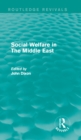 Social Welfare in The Middle East - eBook