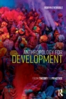 Anthropology for Development : From Theory to Practice - eBook