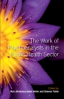 The Work of Psychoanalysts in the Public Health Sector - eBook