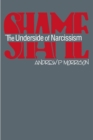 Shame : The Underside of Narcissism - eBook