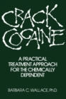 Crack Cocaine : A Practical Treatment Approach For The Chemically Dependent - eBook