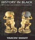 History in Black : African-Americans in Search of an Ancient Past - eBook