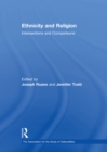 Ethnicity and Religion : Intersections and Comparisons - eBook