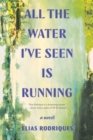 All the Water I've Seen Is Running - A Novel - Book