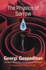 The Physics of Sorrow : A Novel - eBook