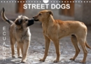 Street Dogs / UK-Version 2017 : Ecuador - Book