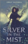 Silver in the Mist - Book