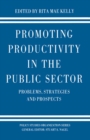 Promoting Productivity in the Public Sector - eBook