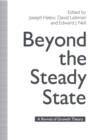 Beyond the Steady State : A Revival of Growth Theory - eBook