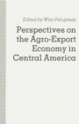 Perspectives on the Agro-Export Economy in Central America - eBook