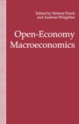 Open-Economy Macroeconomics - eBook