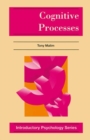 Cognitive Processes : Attention, Perception, Memory, Thinking and Language - eBook