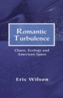Romantic Turbulence : Chaos, Ecology, and American Space - eBook