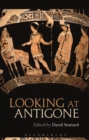 Looking at Antigone - eBook
