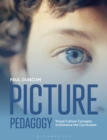 Picture Pedagogy : Visual Culture Concepts to Enhance the Curriculum - Book