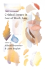 Critical Issues in Social Work Law - eBook