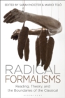 Radical Formalisms : Reading, Theory, and the Boundaries of the Classical - eBook