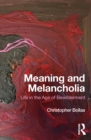 Meaning and Melancholia : Life in the Age of Bewilderment - eBook