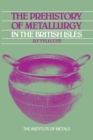 The Prehistory of Metallurgy in the British Isles: 5 - eBook