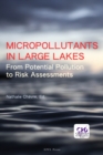 Micropollutants in Large Lakes : From Potential Pollution Sources to Risk Assessments - eBook