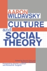Culture and Social Theory - eBook