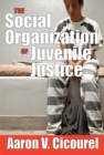 The Social Organization of Juvenile Justice - eBook