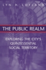 The Public Realm : Exploring the City's Quintessential Social Territory - eBook