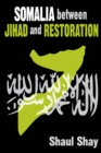 Somalia Between Jihad and Restoration - eBook