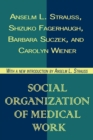 Social Organization of Medical Work - eBook