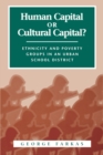 Human Capital or Cultural Capital? : Ethnicity and Poverty Groups in an Urban School District - eBook