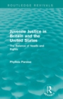 Juvenile Justice in Britain and the United States : The Balance of Needs and Rights - eBook