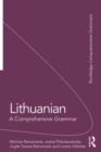 Lithuanian: A Comprehensive Grammar - eBook